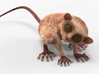  Tarsier Monkey in Tilted Head Pose Fur 