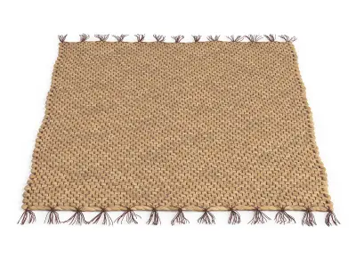 Enora Water Hyacinth Rug 90x60cm RendezVousDeco 3D model