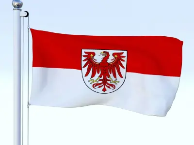 Animated German Flag Pack 3D model