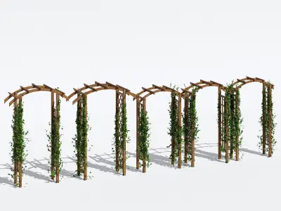 Garden arches two 3D model