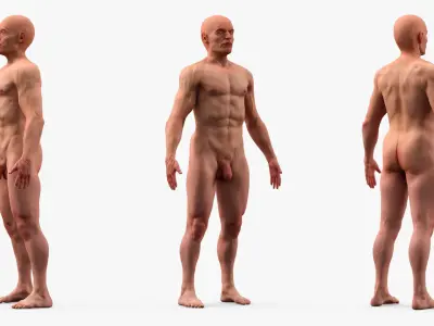  Male Anatomy Full Body Set 