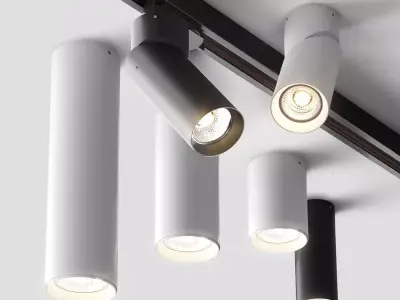 AQForm Rotto-n-Pet Collection 3D model