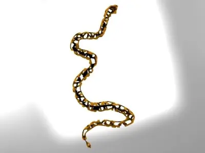 Voronoi Snake 3D print model