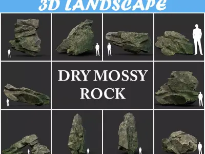 Low poly Dry Mossy Rock Formation Pack 200209 Low-poly 3D model