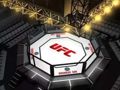 UFC Style Octagon Fighting Arena 3D model