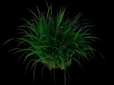 Grass Set Pack Lowpoly Free 3D model