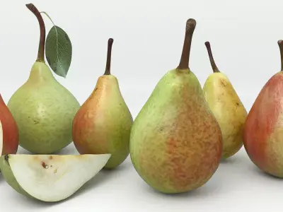 Pear 3d models 3D model