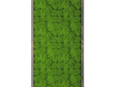 Stabilized moss 15 3D model