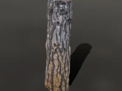 pine trunk 01 Low-poly 3D model