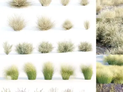 Grass for wild landscape collection vol 12 3D Model Pack