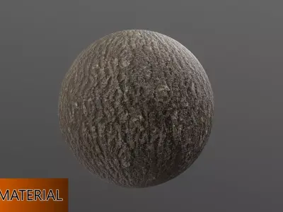 Tree Material Texture