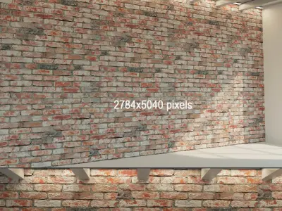 Brick wall Old brick 8 Texture
