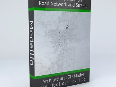 Medellin Road Network and Streets 3D model
