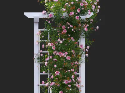Climbing Rose - Rose Swing 3D model