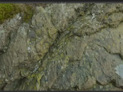 Stone Rose Raw 3D Scan 3D model
