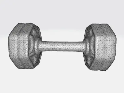 3d High Resolution  Heavy Dumbbell Weight 3d Model 3D model