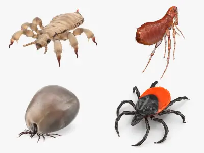  Parasites Collection 