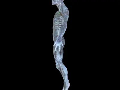 Alien 3D model 19