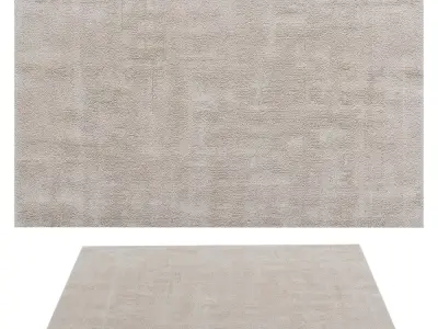 Realistic Carpet 3D Model for Interior Design Texture