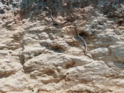 3d scanned cliff Low-poly 3D model