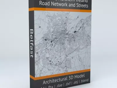 Belfast Road Network and Streets 3D model