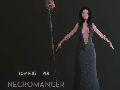 Necromancer Character Low-poly 3D model