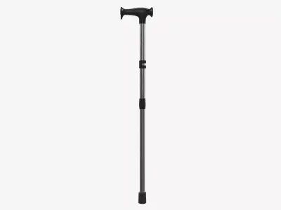 Lightweight walking stick 3D model