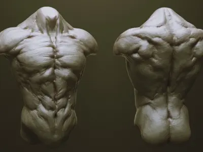 TORSOS - 33 Character and Creature Insert meshes and OBJs 3D model