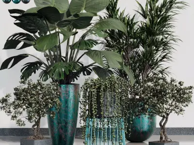 INDOOR PLANT SET 07 3D model