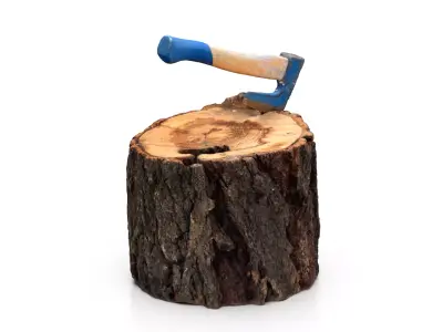 Log with small axe 3D model