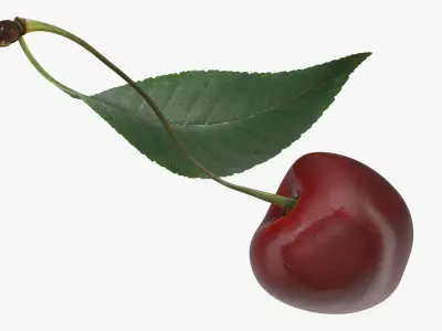  Cherry Collection 