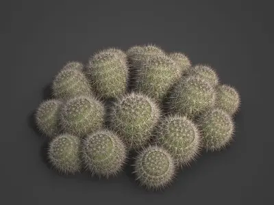 2021 PBR Strawberry Hedgehog - Echinocactus Engelmannii  3D model