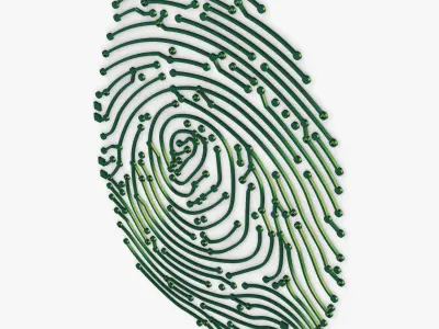Electronic fingerprint v 1 3D model