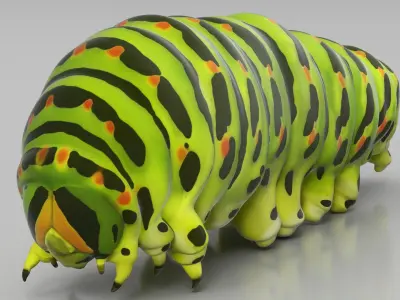  Caterpillar Crawling Animated Rigged for Maya 