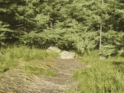 Forest Environment Low-poly 3D model