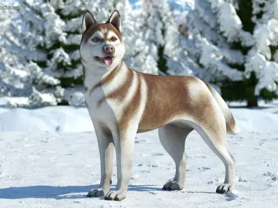  Large Dogs Rigged for Maya Collection 