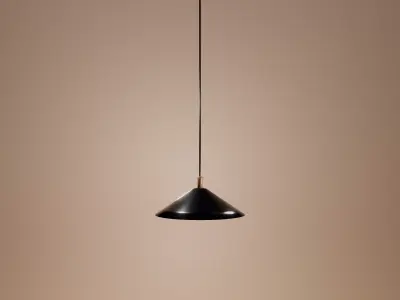 Modern Pendant Lights - Ceiling Lights Free 3D model