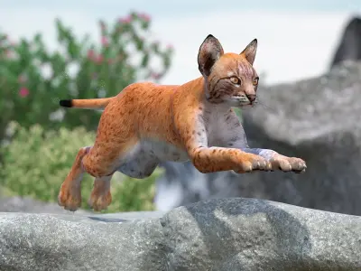  Lynx Cub in Jumping Pose for 3D Print 