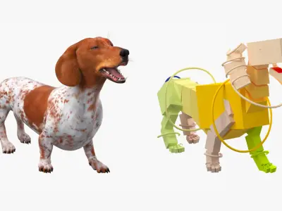  Short-Legged Hound with Dapple Coat Rigged 