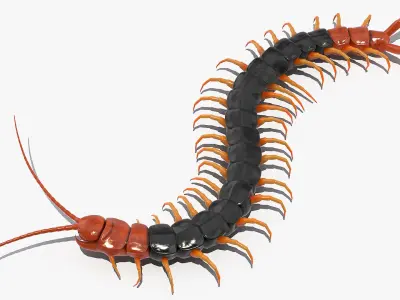  Insects Big Rigged Collection 5 