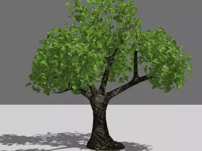 Tree PBR Free Free low-poly 3D model