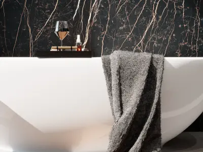 Bathroom Interior Scene for Cinema 4D and Vray 6 ACES 3D model
