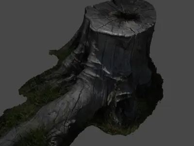 Treetrunkbase tree stump with grass 3D model