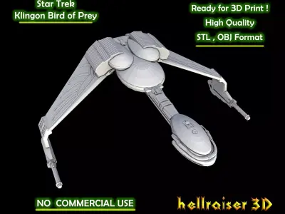 Star Trek - Klingon Bird of Prey - 3D Printable Model 3D print model