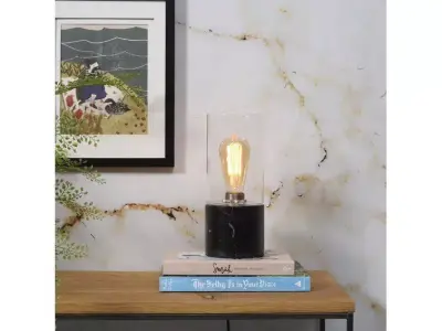 Barasinga Table Lamp - 2 Colour 3D model