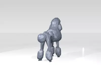 Poodle Low Poligonal 3D model