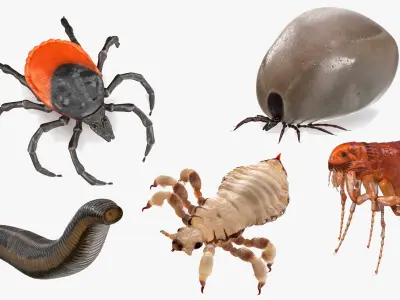  Parasites Rigged Collection 2 