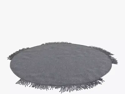 custom made round  modern carpet 3D model