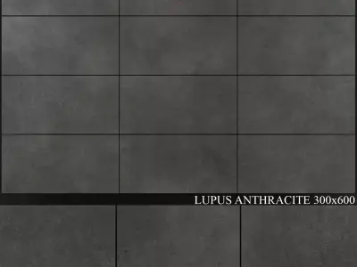 Yurtbay Seramik Lupus Anthracite 300x600 3D model