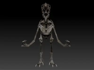 Velociraptor Skeleton - Full 3D Raptor dinosaur bones 3D model